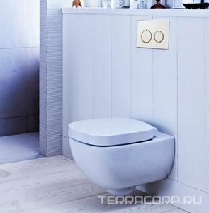 Клавиша смыва, (пластик цв.белый / обод на кнопках позолоченный), 20 ZZ Geberit Omega 115.085.KK.1