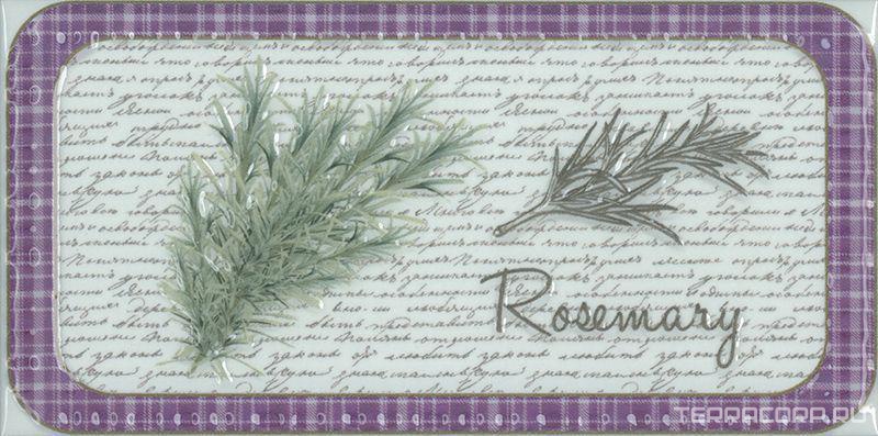 Керамическая плитка Absolut Keramika Monocolor 10x20 Decor Clasical Rosemary 10x20 Комбинированный, фото 3