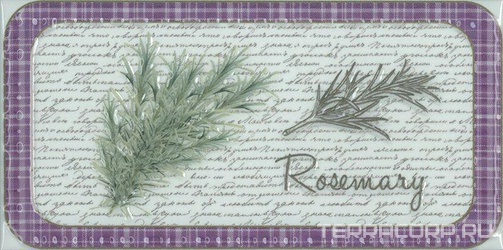 Керамическая плитка Absolut Keramika Monocolor 10x20 Decor Clasical Rosemary 10x20 Комбинированный 