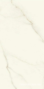 Керамогранит Atlas Concorde Italy Marvel X Marvel Calacatta Apuano Matt  60x120 Белый 