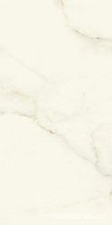 Marvel Calacatta Apuano Matt  ZZ 60x120
