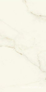 Керамогранит Atlas Concorde Italy Marvel X Marvel Calacatta Apuano Matt  60x120 Белый 