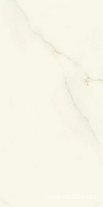 Керамогранит Atlas Concorde Italy Marvel X Marvel Calacatta Apuano Matt  60x120 Белый 