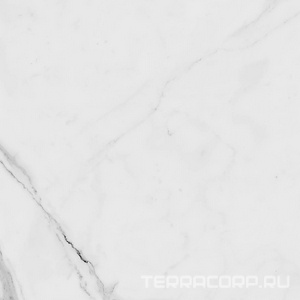 Керамогранит La Faenza Trex3 TREX 60W LP (п.п.) 60x60 Белый 