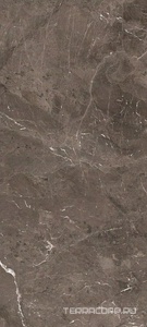 Керамогранит Florim Magnum Heritage Luxe Heritage Brown Glossy 120x280 Коричневый 