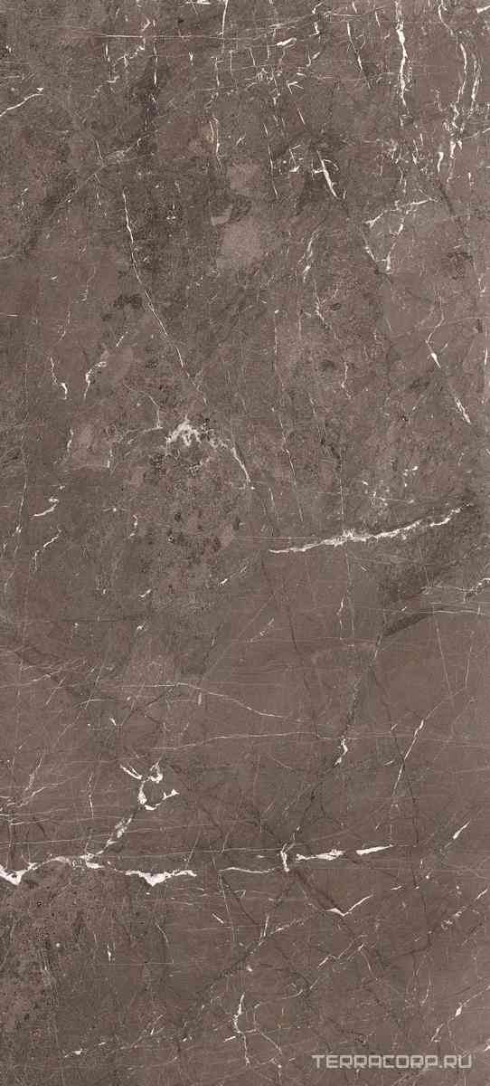 Heritage Brown Glossy 120x280