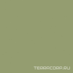Керамогранит Monocolor green RAL6021 PG 01 XX|600х600