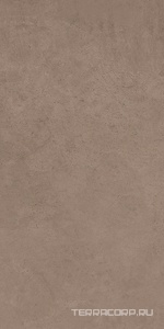 Керамогранит Sant Agostino Ritual  Brown 3060  (п.п.)  30x60 Коричневый 
