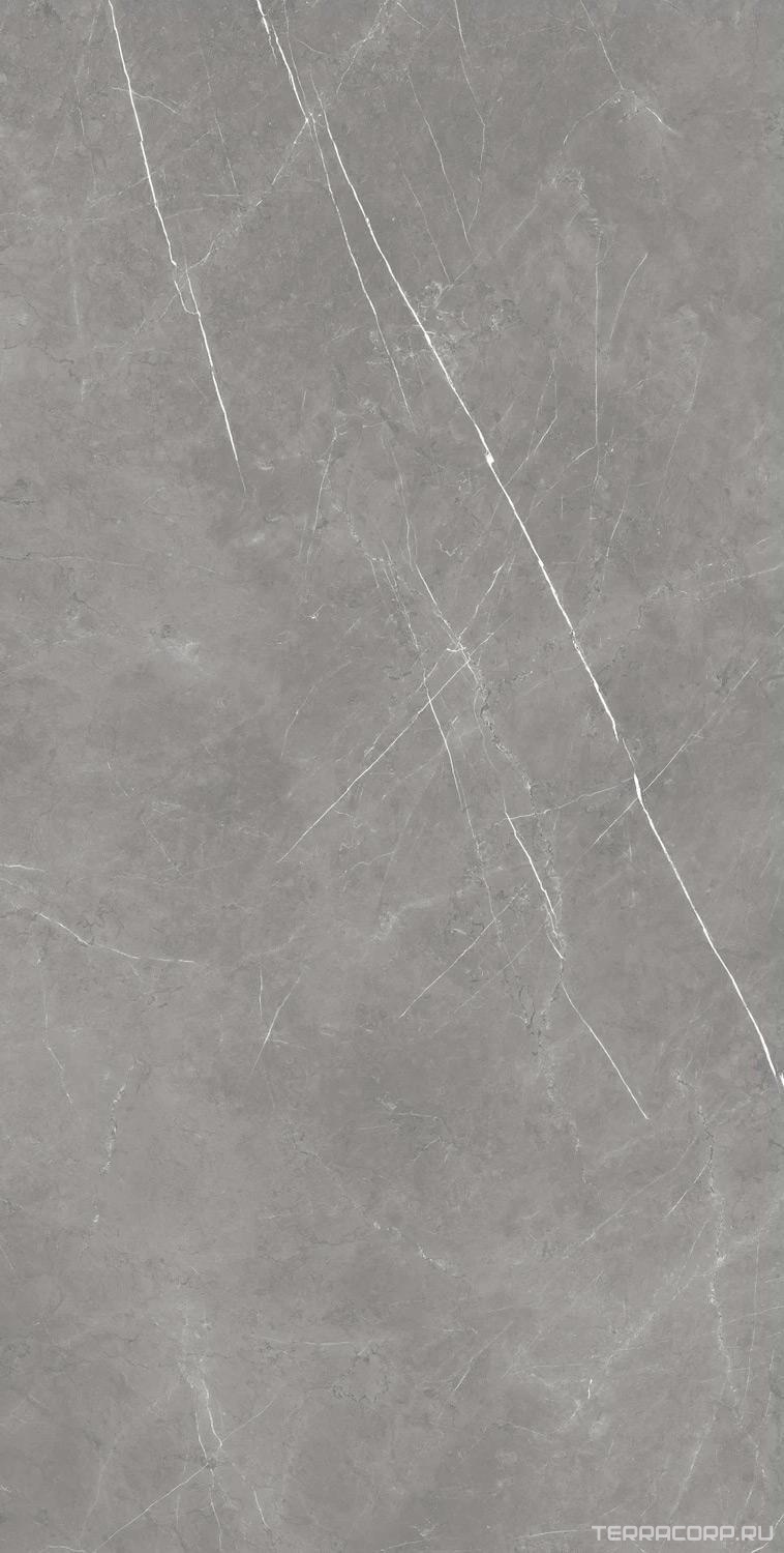 Керамогранит AtlasConcorde Россия FORTE DEI MARMI F.d.M. Elegant G. Rett 80x160/Ф.Д.М. Элегант Г. Рет 80Х160 Серый, фото 3