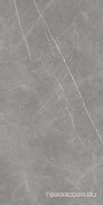 Керамогранит AtlasConcorde Россия FORTE DEI MARMI F.d.M. Elegant G. Rett 80x160/Ф.Д.М. Элегант Г. Рет 80Х160 Серый 