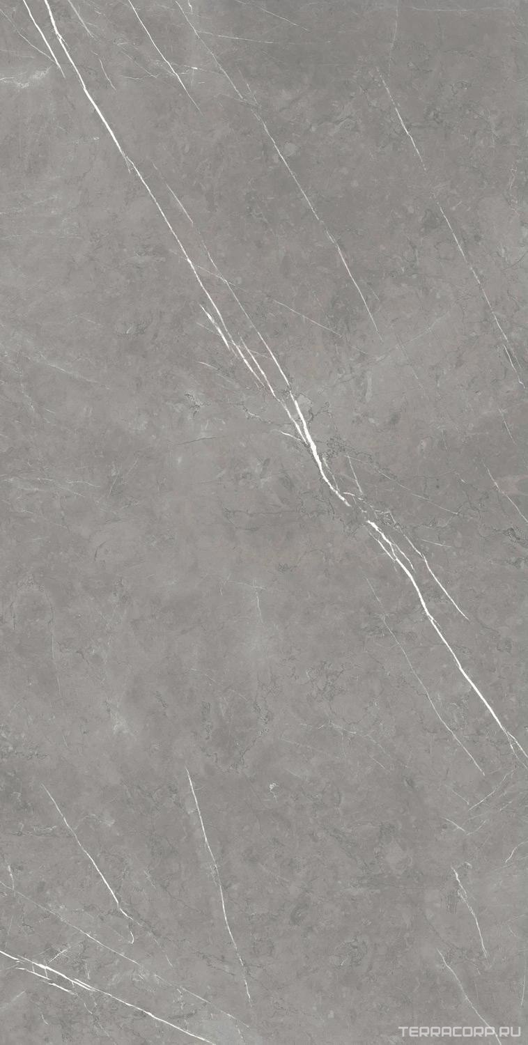 Керамогранит AtlasConcorde Россия FORTE DEI MARMI F.d.M. Elegant G. Rett 80x160/Ф.Д.М. Элегант Г. Рет 80Х160 Серый, фото 4