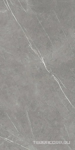 Керамогранит AtlasConcorde Россия FORTE DEI MARMI F.d.M. Elegant G. Rett 80x160/Ф.Д.М. Элегант Г. Рет 80Х160 Серый 