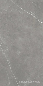 Керамогранит AtlasConcorde Россия FORTE DEI MARMI F.d.M. Elegant G. Rett 80x160/Ф.Д.М. Элегант Г. Рет 80Х160 Серый 