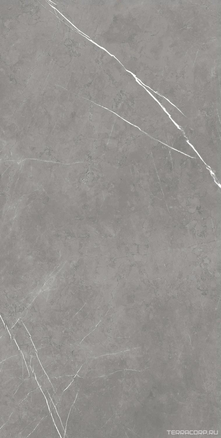 Керамогранит AtlasConcorde Россия FORTE DEI MARMI F.d.M. Elegant G. Rett 80x160/Ф.Д.М. Элегант Г. Рет 80Х160 Серый, фото 7
