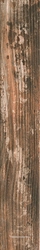 Sassafras XX|15x90