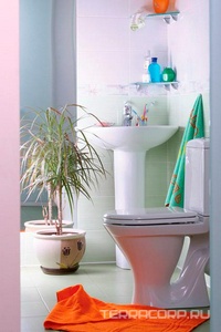 Унитаз-компакт "" люкс, крышка сиденье без микролифта (термопласт), 1 режим.арматура, косой выход ,крепеж в комплекте, белый Sanita Аттика WC.CC/Attica/2-T/WHT.G/S1 (ATCSACC01060713)