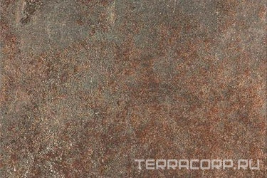 Urban Russet Strut XX |20x30