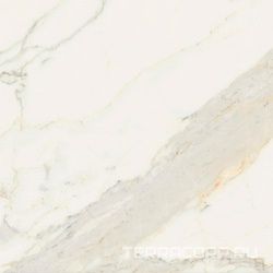 Bianco Calacatta Lev Rett (п.п) ZZ |74x74