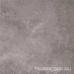 Atrium Kiel Marengo XX |60.8x60.8