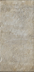 Sugar Cane |10x20