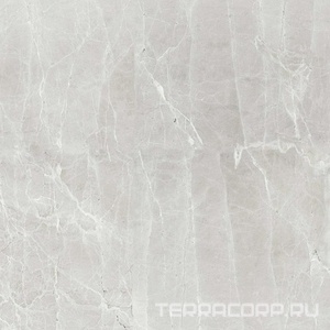 Керамогранит Гранитея Увильды Uvildy Grey G363/ серый полированный 60x60 Серый 