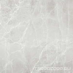 Керамогранит Гранитея Увильды Uvildy Grey G363/ серый полированный 60x60 Серый 