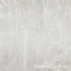 Керамогранит Гранитея Увильды Uvildy Grey G363/ серый полированный 60x60 Серый 