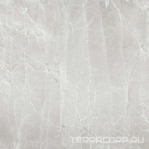 Керамогранит Гранитея Увильды Uvildy Grey G363/ серый полированный 60x60 Серый 