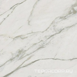 Буонарроти белый обрезной |60x60