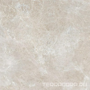 Керамогранит Гранитея Синара Sinara Brown G314/ коричневый мат.60x60 Бежевый 