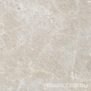 Керамогранит Гранитея Синара Sinara Brown G314/ коричневый мат.60x60 Бежевый 