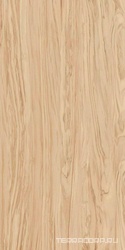 Олива бежевый обрезной ХХ|60x119,5