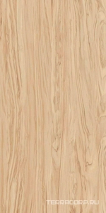 Керамогранит Kerama Marazzi Олива  бежевый обрезной ХХ60x119,5 Бежевый 