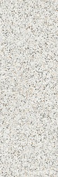Terrazzo Bianco Venezia 5,6 mm |100x300