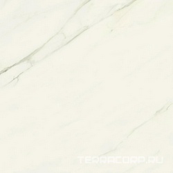 Marvel Meraviglia Calacatta Meraviglia Velvet ZZ 120x120