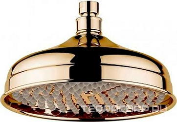 Верхний душ, круг d200мм, G 1/2, (цв. бронза), Cezares ZZ