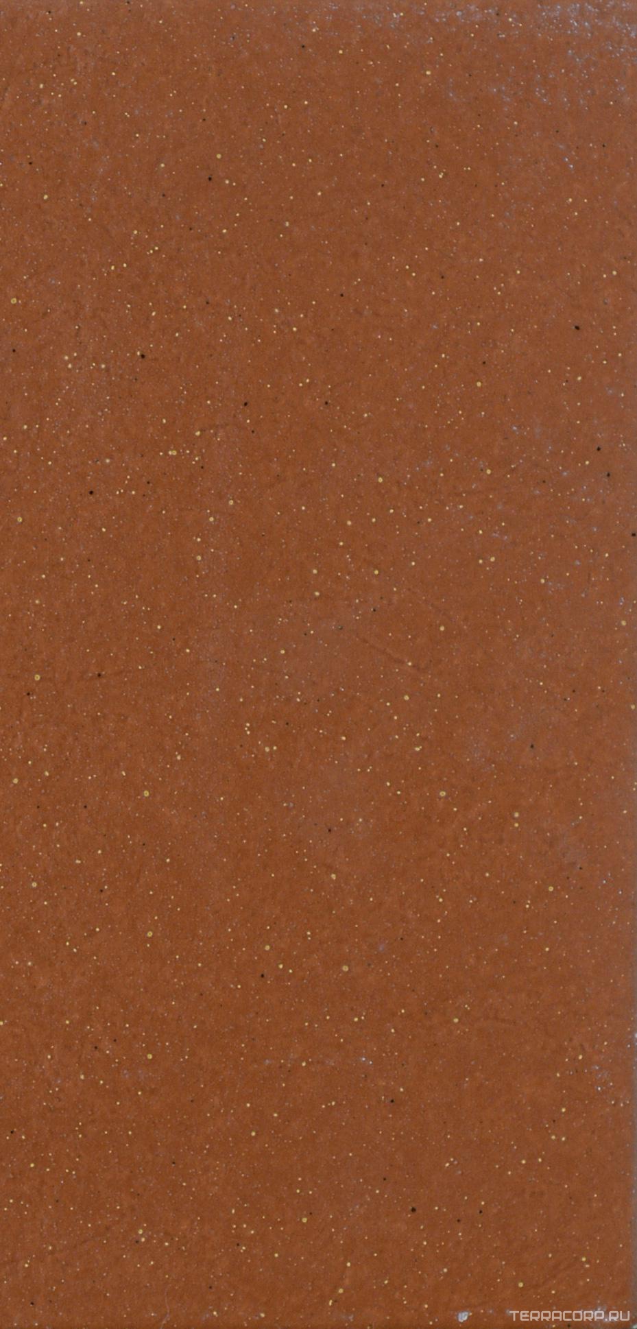 Керамогранит Domus Linea Monoplatten Klinker Mattone 13x26 Коричневый, фото 4