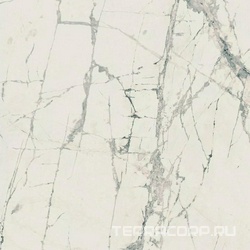 Mountain Treasure Glossy ZZ 60x60
