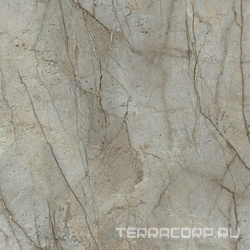 Essence Grey Rec. ZZ |90x90