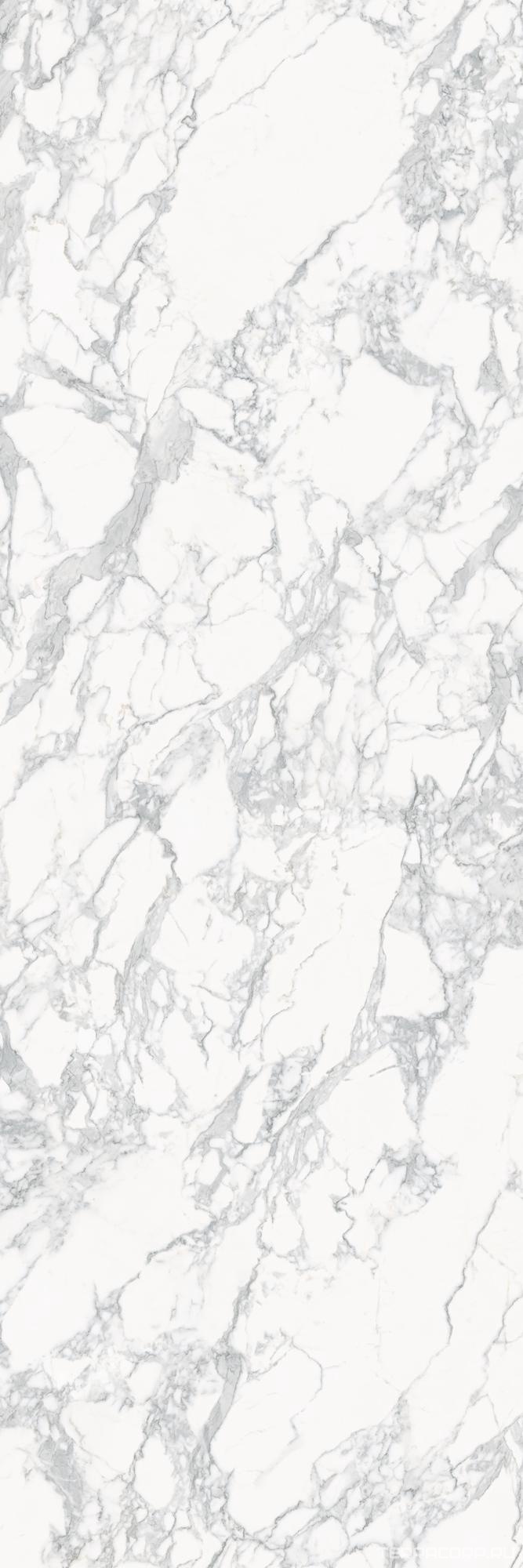 Керамогранит Laminam I Naturali Marmi I Naturali Arabescato Luc. 5.6 mm ХХ 100x300 n/a, фото 7