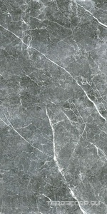 Керамогранит Гранитея Пайер Payer Black G285/ черный мат. 60x120 Черный 