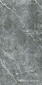 Керамогранит Гранитея Пайер Payer Black G285/ черный мат. 60x120 Черный 