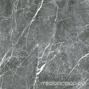 Керамогранит Гранитея Пайер Payer Black G285/ черный мат. 60x60 Черный 