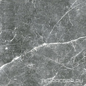 Керамогранит Гранитея Пайер Payer Black G285/ черный мат. 60x60 Черный 