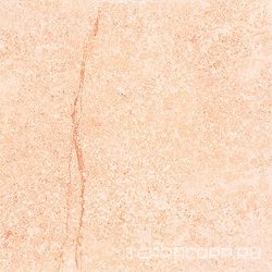 Shunut Beige G302/Шунут бежевый полированный 60x60 XX