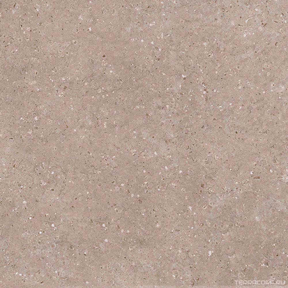 Керамогранит Гранитея Аркаим Arkaim Beige G212/ бежевый мат. 60x60 Бежевый, фото 6