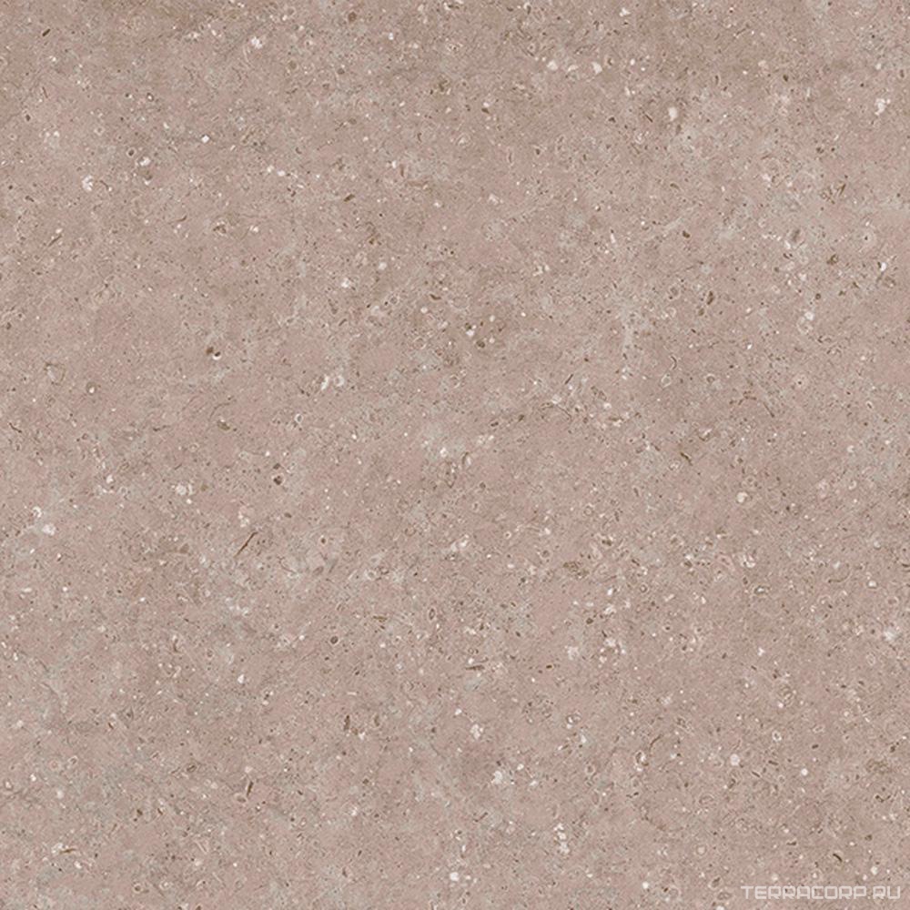 Керамогранит Гранитея Аркаим Arkaim Beige G212/ бежевый мат. 60x60 Бежевый, фото 4