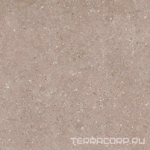 Керамогранит Гранитея Аркаим Arkaim Beige G212/ бежевый мат. 60x60 Бежевый 