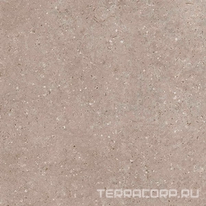 Керамогранит Гранитея Аркаим Arkaim Beige G212/ бежевый мат. 60x60 Бежевый 