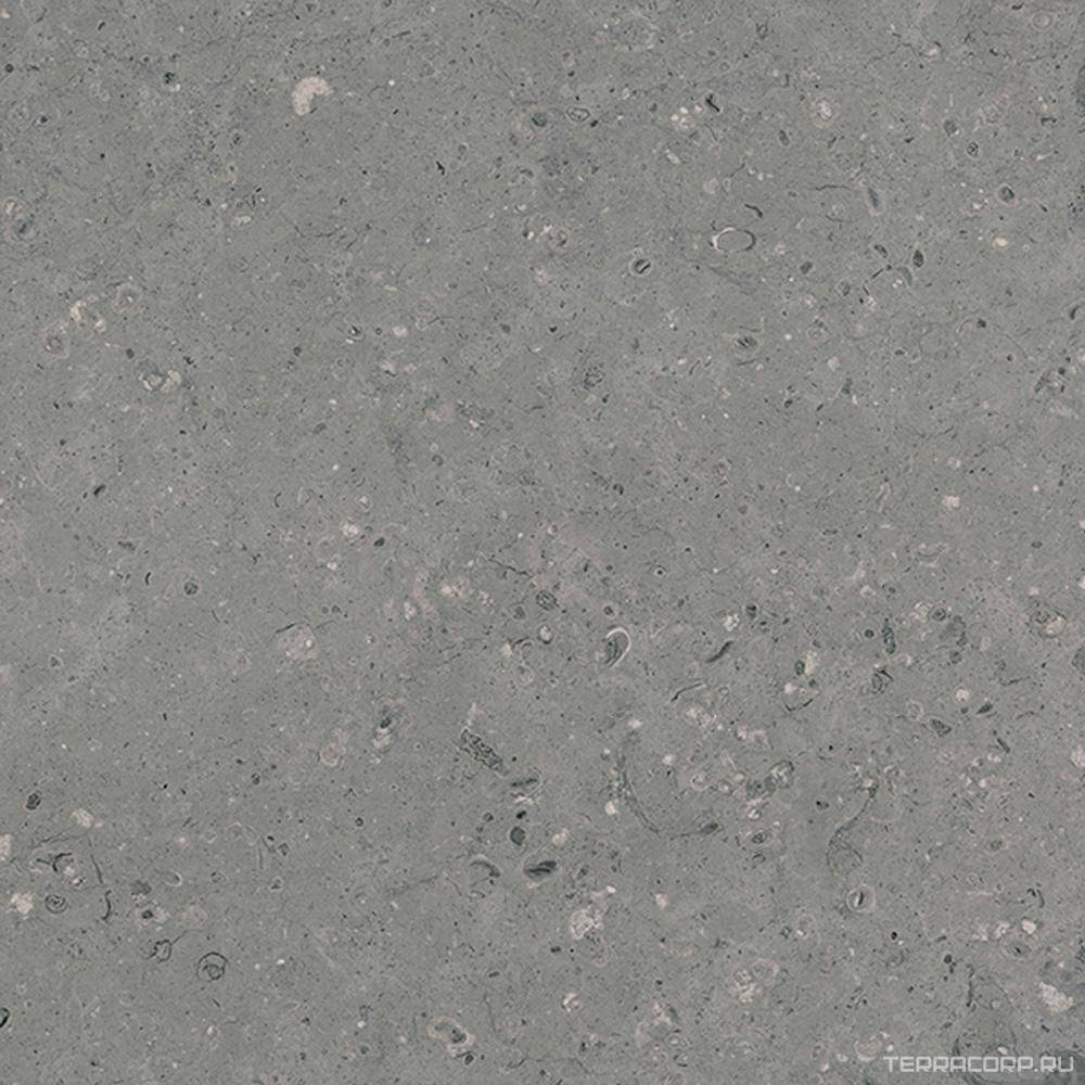 Керамогранит Гранитея Аркаим Arkaim Grey G213/ серый мат .60x60 Серый, фото 5